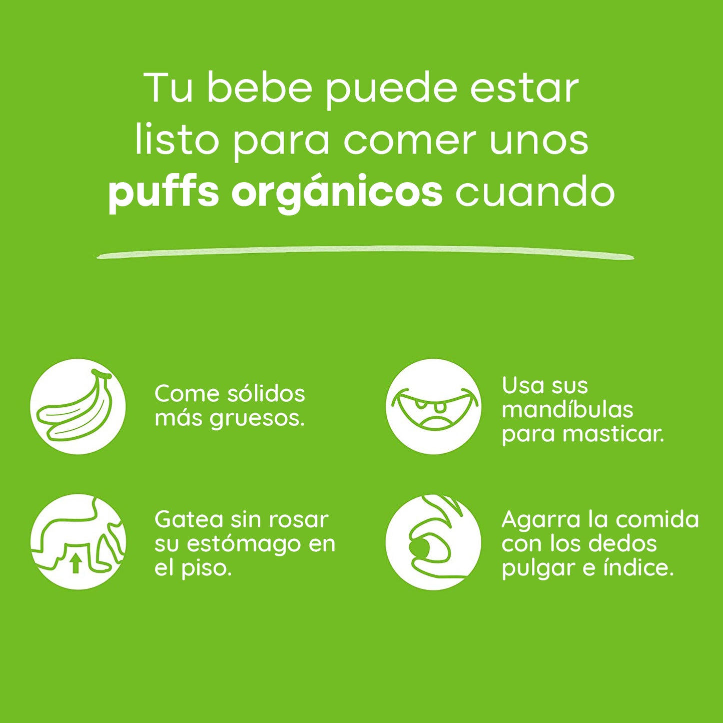 Puffs Zanahoria Morada y Arándanos