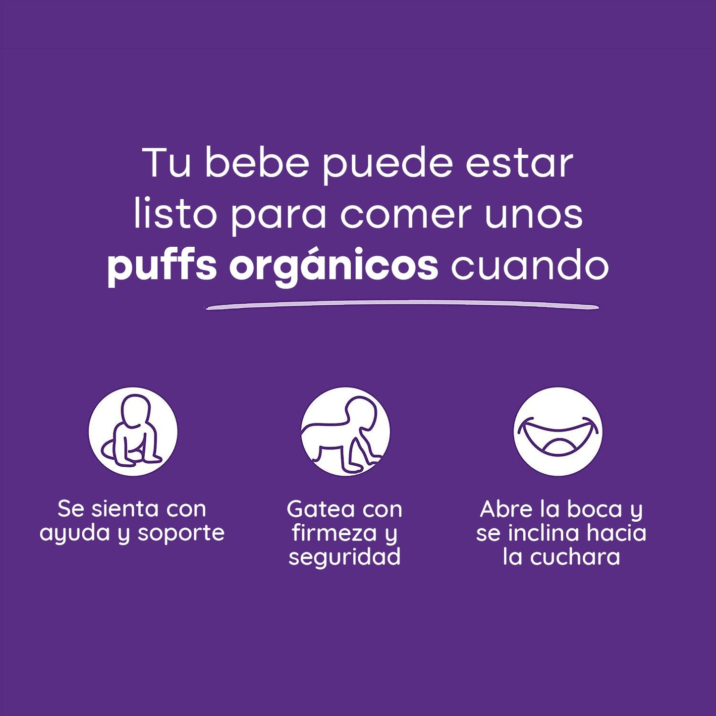Teethers Arándanos y Zanahoria Morada