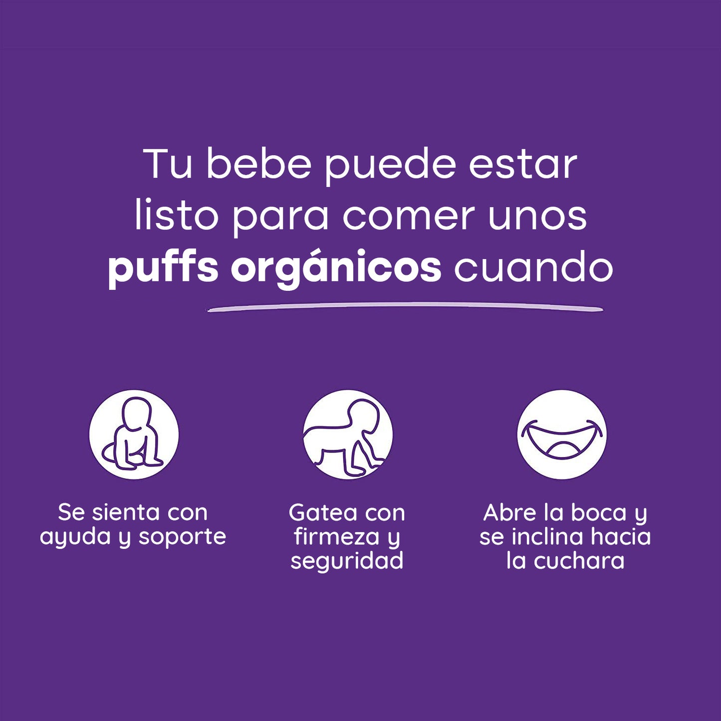 Teethers Arándanos y Zanahoria Morada 4 Unidades