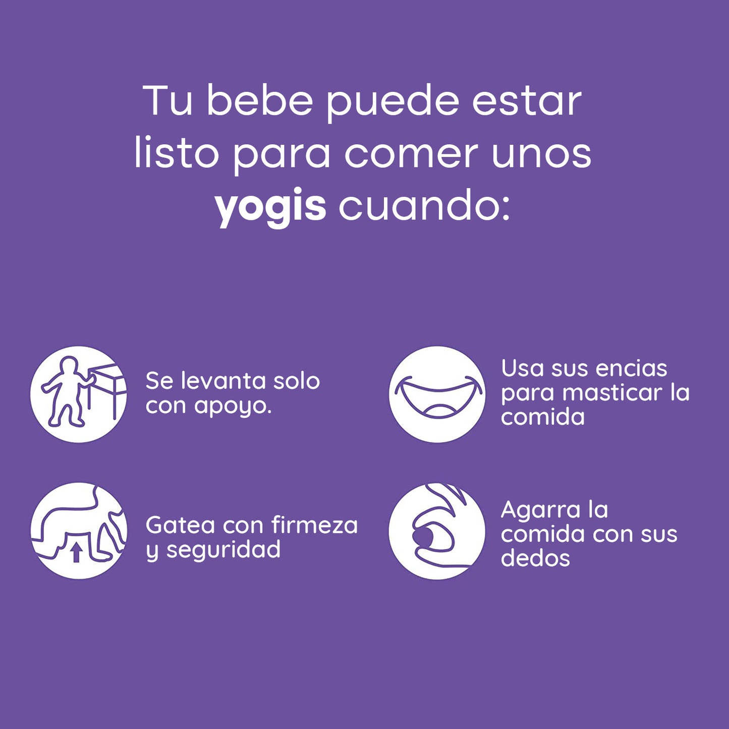 Mix de Yogis 4 Unidades